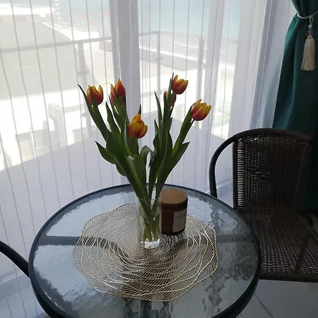Apartment Promenada